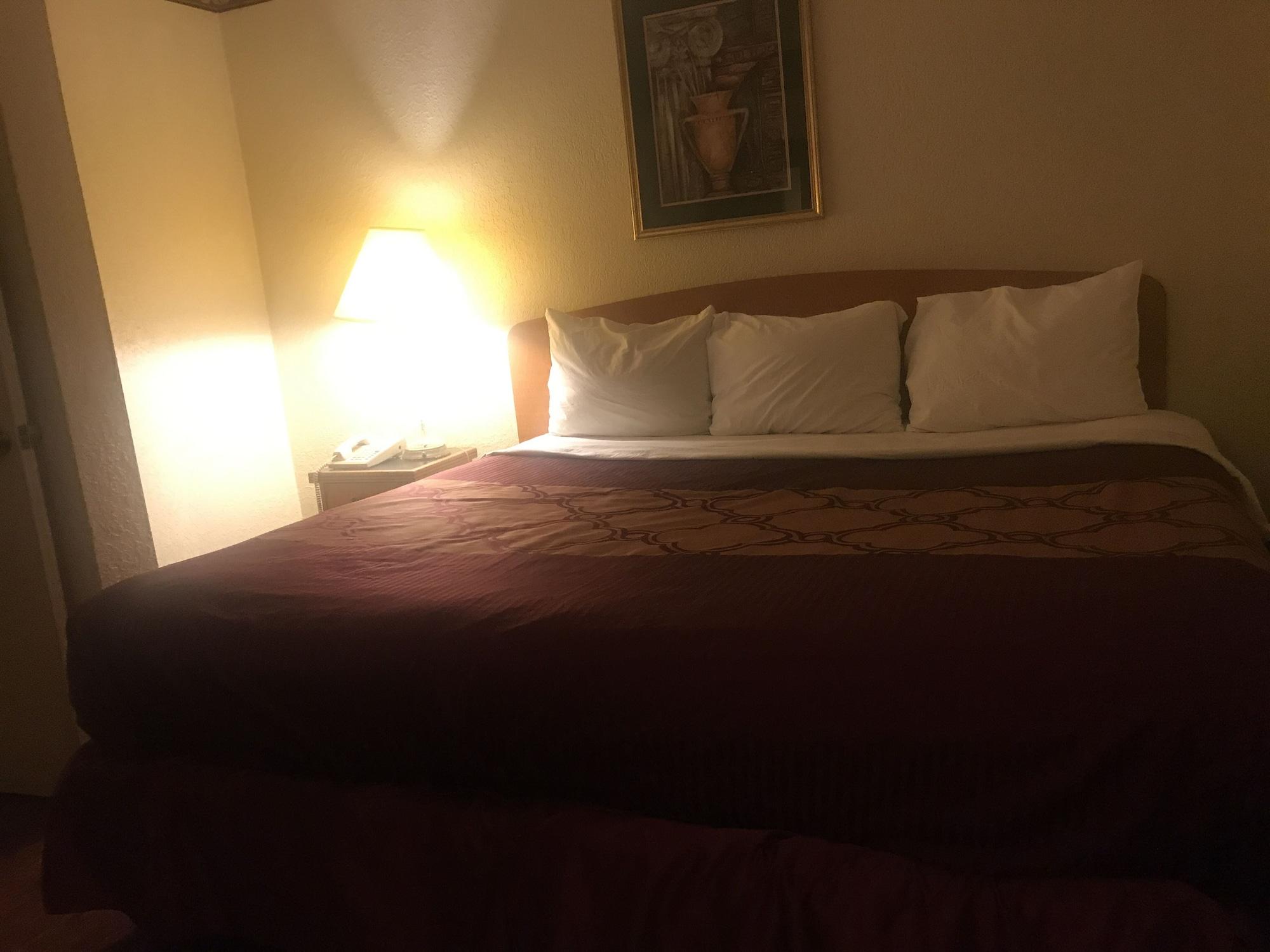 Bear Mount & 2* Pigeon Forge