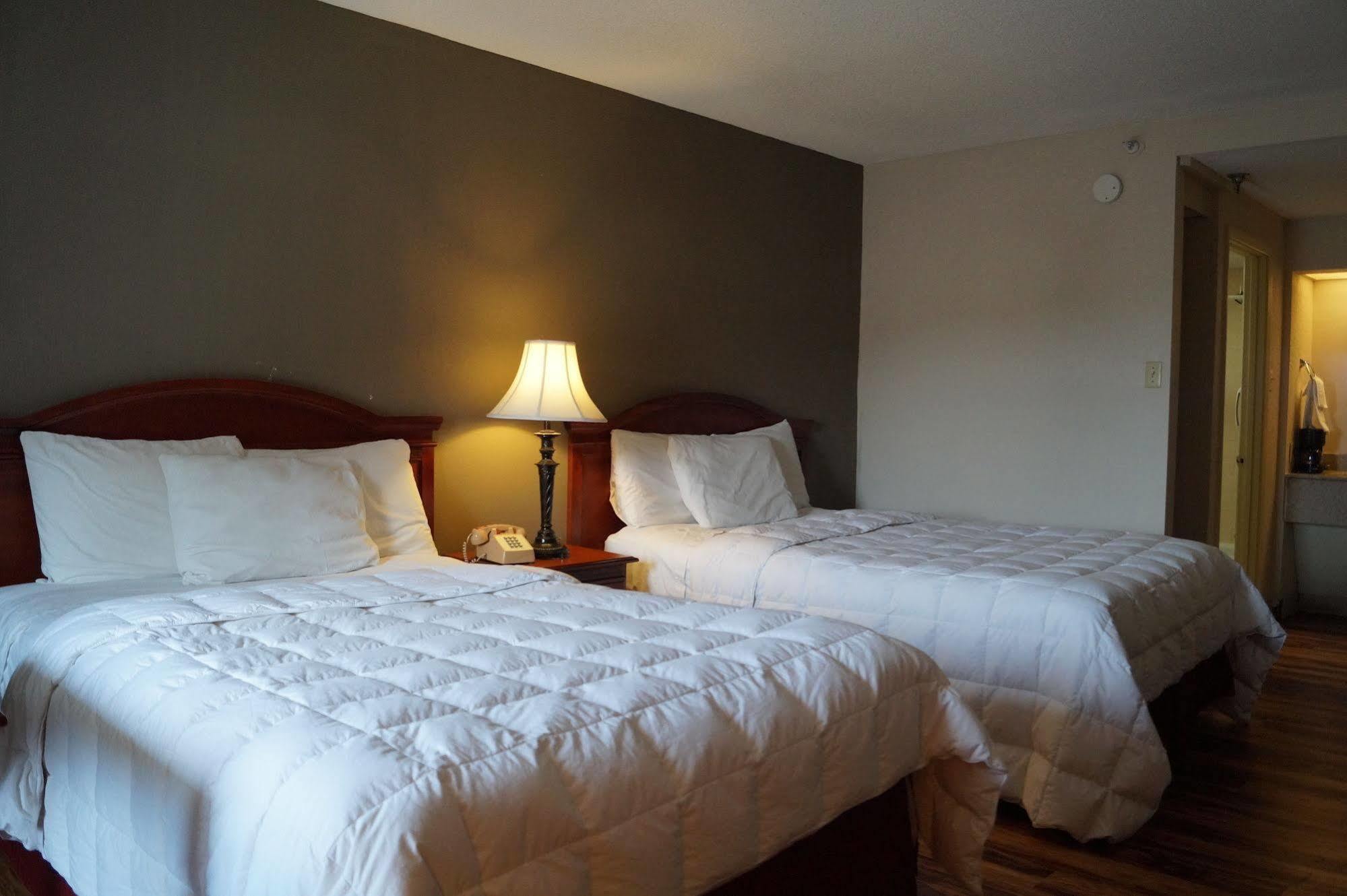 Hotel Bear Mount &